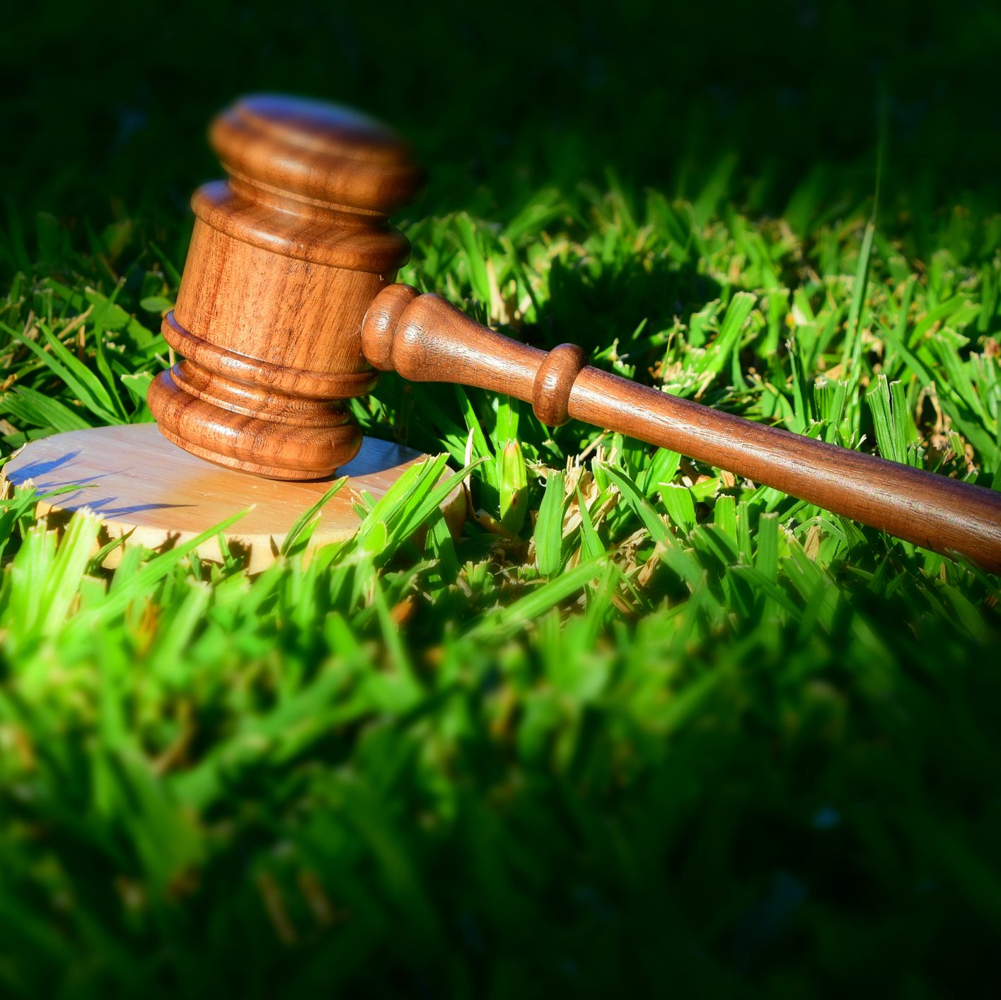 çalışma alanlarımız çevre hukuku